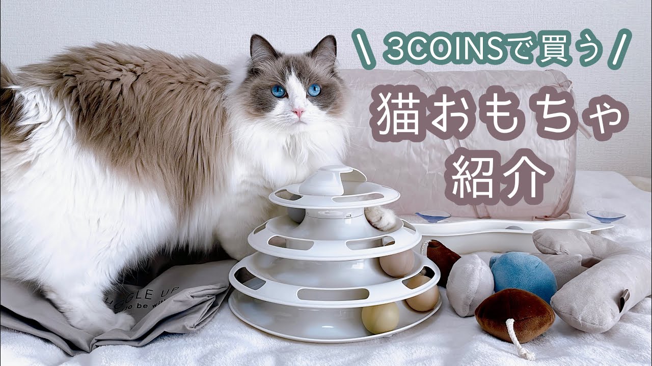 【3COINS】猫のおもちゃ購入品紹介｜お気に入りおもちゃ｜可愛い