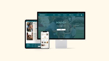 Pet adoption Responsive Web Design DOGGO + prototype video