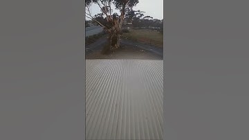 Thumbnail of The power of lightning#lightning #weather #satisfying #extremeweather #thunderstorm