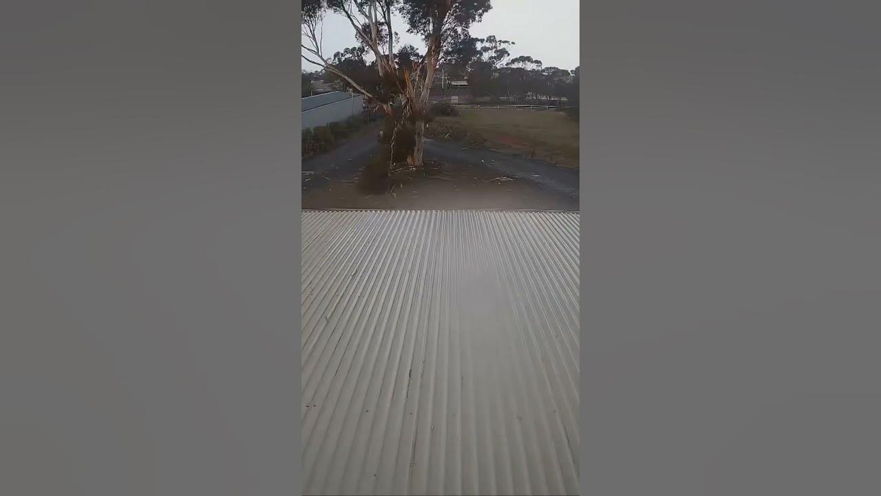 The power of lightning#lightning #weather #satisfying #extremeweather #thunderstorm