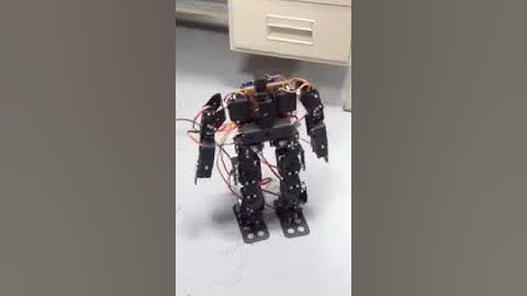 AGU 17 DOF Humanoid Robot (AGUMS-1) start walking