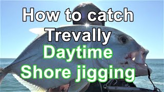 How to catch Trevally Daytime shore jigging Rocky D fishing Vol.144