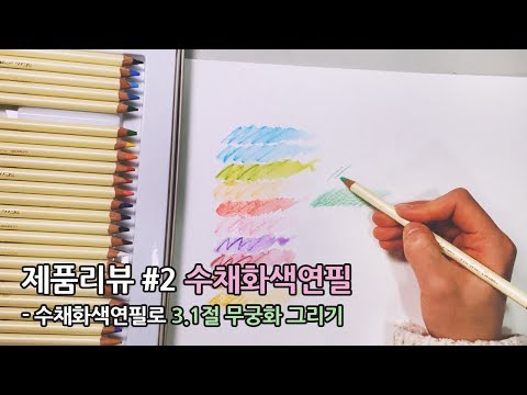 제품리뷰 #2 수채화색연필로 3.1절 무궁화 그리기 [<strong>rose</strong> <strong>of</strong> <strong>Sharon</strong>]