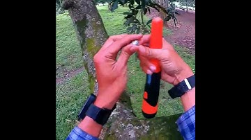 Metal Detecting: Climb to find \ Metal Detector \ Treasure Hunt