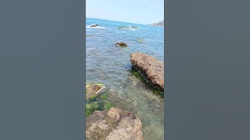 سورة الملك.   #relaxationsounds #سورة_الملك #اكسبلور #المصحف #nature #الرحمن #plage #البحر #azzefoun