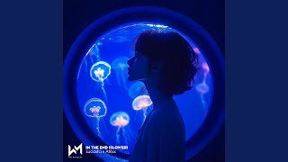 In the End (Slowed) - Lucasta, Atrixx