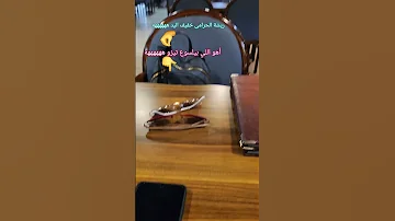 الصعيدي بابا المجال Hindi اكسبلور Trending ترند تيك توك خلود لايك Automobile Gaming 