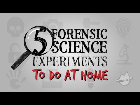5 Simple Crime-Solving Science Experiments To Do At Home