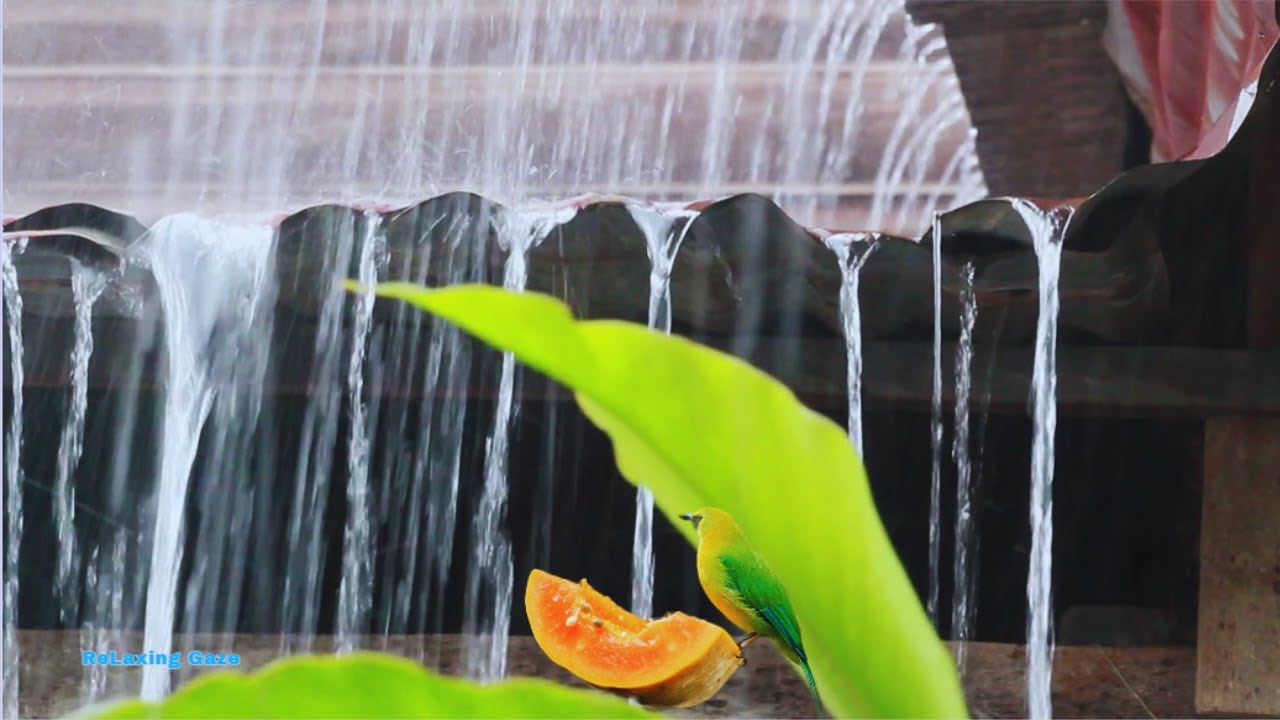 Rain Wash Away All Worry and Anxietym Deep Sleep Self Healing