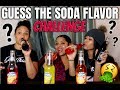 SODA TASTE TEST CHALLENGE ! ( BLIND FOLD)