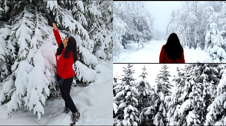 First Snow Experience // Our first Travel Vlog (Tamil) // Indians in Germany