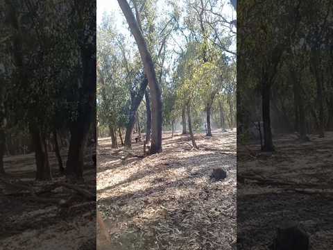 أحسن منظر طبيعي مع أغنية وحياتي الروح فاضل شاكر دنيا بطمة سعد لمجرد أغاني شرقية أغاني 