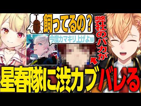 【APEX LEGENDS】星春隊コラボで”渋谷カブ”の存在がバレ、爆笑される渋ハル【渋谷ハル/星川サラ/BobSappAim/にじさんじ/ネオポルテ/切り抜き】