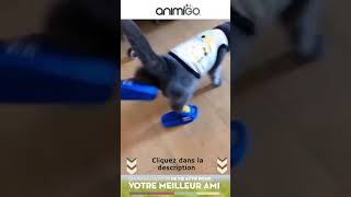 Bienvenue Sur Animigo