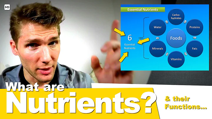 Nutrients and Their Functions - You Are What You Eat: Crash Course #1