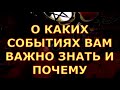 О КАКИХ СОБЫТИЯХ ВАМ ВАЖНО ЗНАТЬ И ПОЧЕМУ гадания карты таро любви сегодня