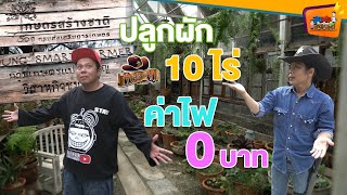 ปลูกผัก 10 ไร่ ไร้ค่าไฟแม้แต่บาทเดียว # 1(Res-Q Farm) - สูงเตี้ยเรี่ยดิน EP.80 [1/2]