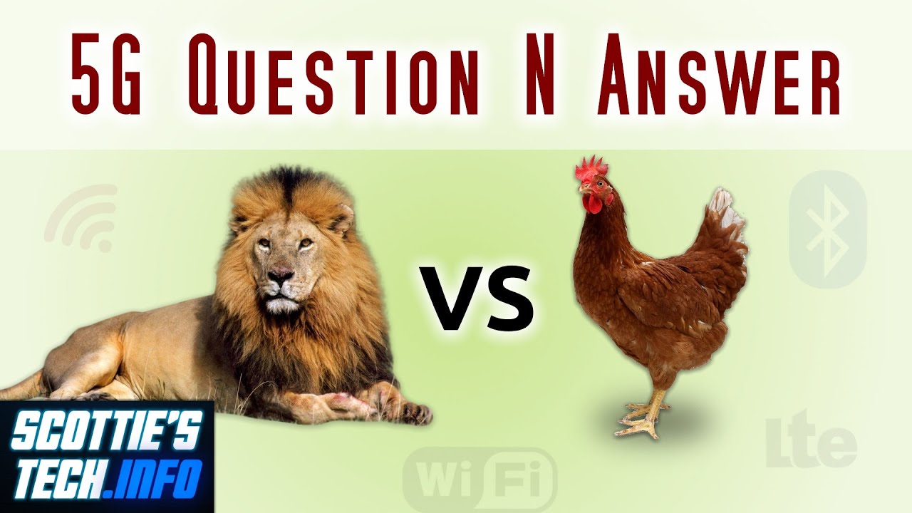5G QnA Why lions and chickens are different YouTube