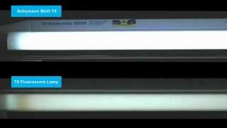 Schumann Shift T8-5 vs Typical Fluorescent Lamp