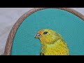 Curso online: "bordado de pájaros"