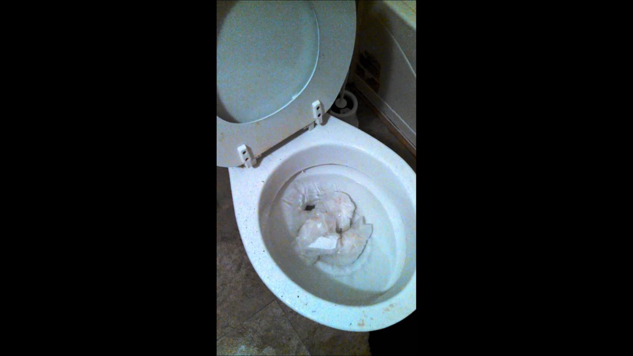 Crane Atlas flushing 8 balled up toilet papertake 1 YouTube