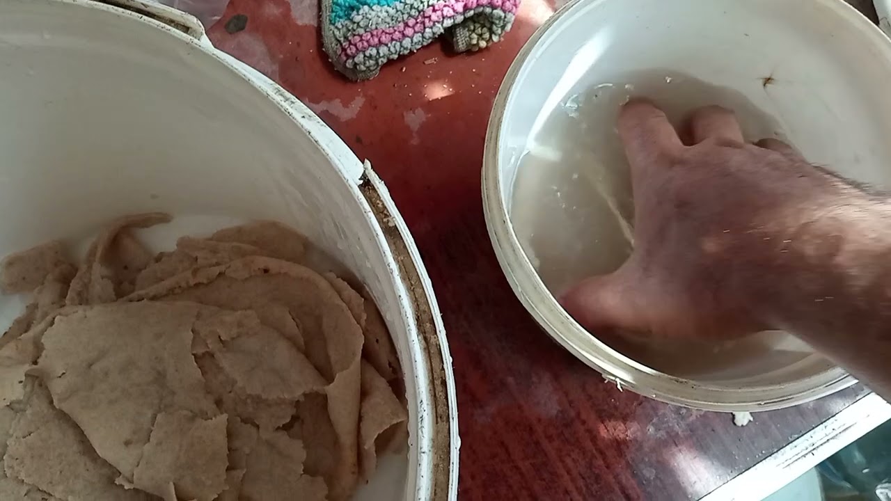 طريقة تجهيز العيش لصيد البورى بالربع الحديد او صيد البطاطا بالمشنقة او صيد البلطى