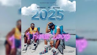 Marioo feat Stans  - 2025 1 Hour Loop Visualiser