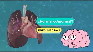 Sonidos Respiratorios Normales y Anormales - Guía Medica