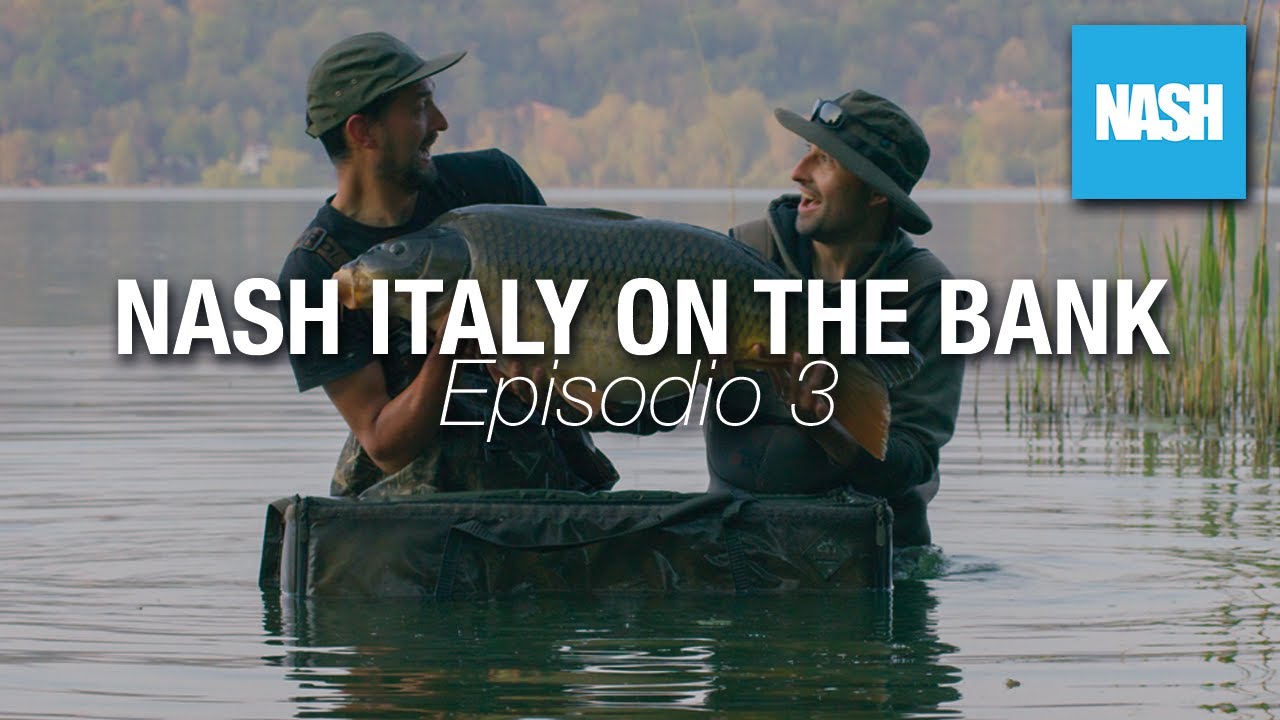 IL GRANDE LAGO di VARESE - episodio 3 - NASH ITALY ON THE BANK - carpfishing