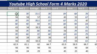 18.  IGCSE ICT - Data Analysis - Conditional Formatting