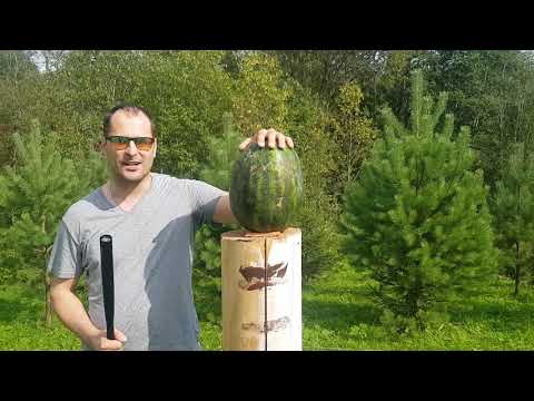 Фонарь - Бита с Aliexprees. Розыгрыш среди подписчиков