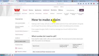 insurance adjusters and claims examiners job description
