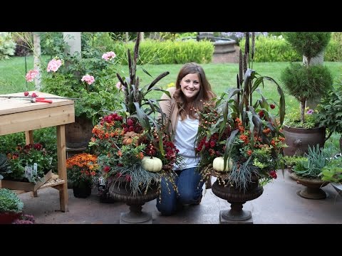 چگونه یک کاشت پاییزی زیبا بسازیم