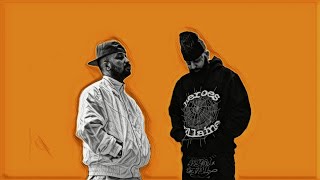 Ringbattle - Poori X Vinak