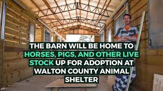 Building hope building a barn