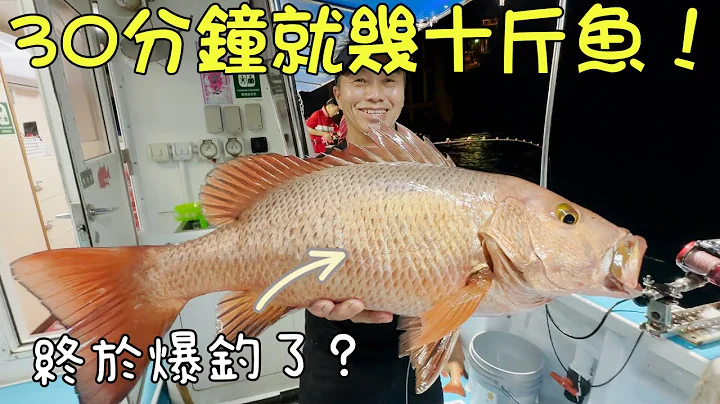 香港釣魚2023︱30分鐘就幾十斤魚了！！今天收穫一定爆多？最後收竿竟然中大魚！還好守到最後！ 米之蓮餐廳老闆分享煮魚食譜！！ - 天天要聞