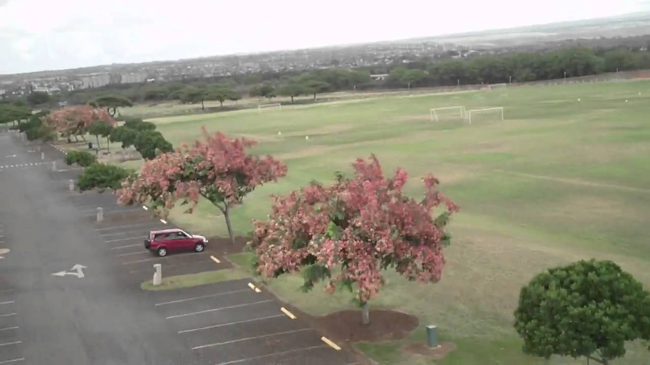 Gaui 330X Quadflyer FPV Flight and Another Crash