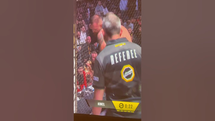 Patrik Kincl vs Kerim Engizek #shorts #mma