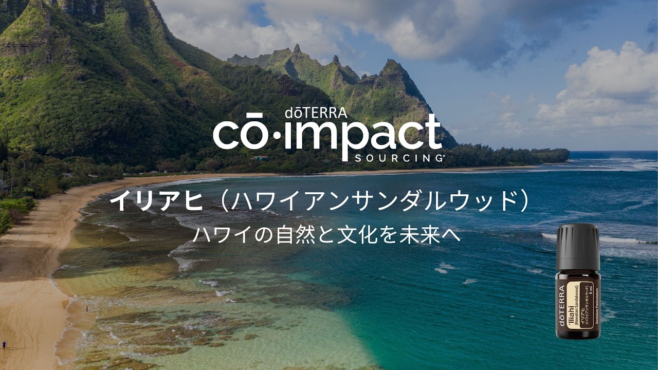 ドテラ イリアヒ ハワイアンサンダルウッド ③ イリアヒ（ハワイアンサンダルウッド）の調達 ／ ハワイ 〔コ