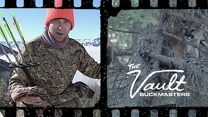 Jackie Bushman Bowhunting Idaho Mountain Lions | T...