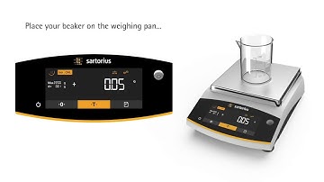 Sartorius Entris II - Weighing Application - Northern Balance