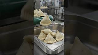 samosa maker machine new startup business automatic machine for startup business