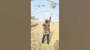 The Secret to a Perfect Greenhouse Structure #Shorts #Satisfying #WorkLife #DIY #Engineering