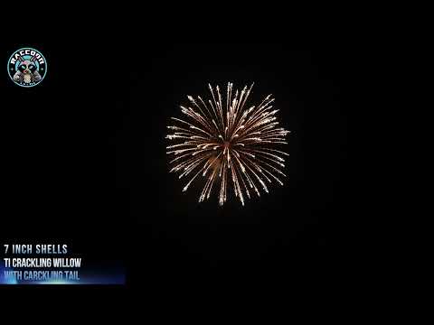7″ video preview