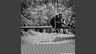 Celebrity CyberDreamscape Net Worth