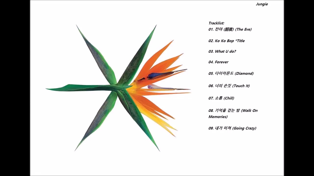 EXO [full album THE WAR]
