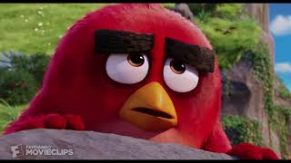 final birdisy