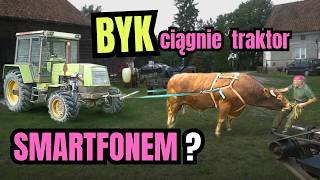Download Lagu ROMEK testuje PANCERNY smartfon. TEST BYKA i rozjeżdżanie KOMBAJNEM MP3 Download Lagu ROMEK testuje PANCERNY smartfon. TEST BYKA i rozjeżdżanie KOMBAJNEM MP3