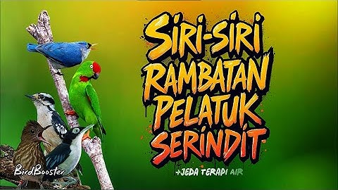 MASTERAN BURCIL LENGKAP TEMBAKAN TAJAM SATU JALUR + TERAPI AIR