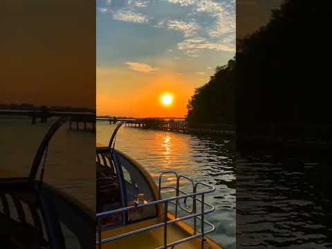 الدنيا تمضي والايام تمر بسرعة 